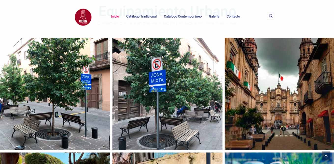 Página web para productos